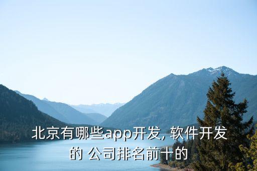  北京有哪些app開發, 軟件開發的 公司排名前十的