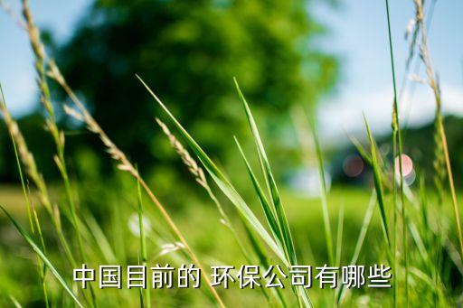 桑德國際與桑德環保集團,河北桑德環保集團有限公司怎么樣