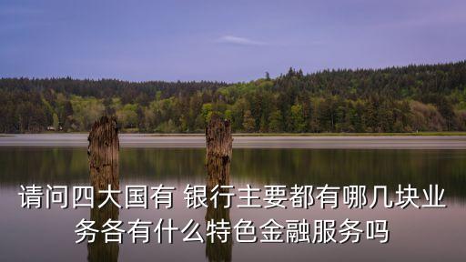 請(qǐng)問四大國有 銀行主要都有哪幾塊業(yè)務(wù)各有什么特色金融服務(wù)嗎