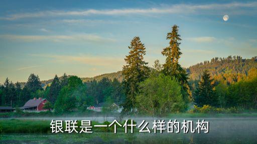  銀聯是一個什么樣的機構