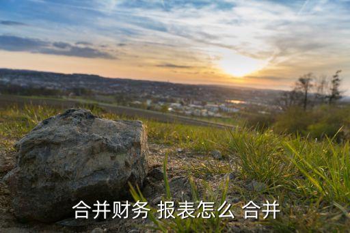  合并財務 報表怎么 合并