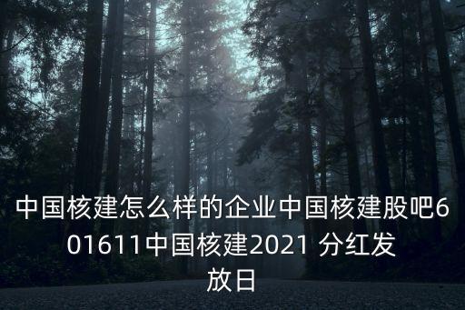 中國核建怎么樣的企業中國核建股吧601611中國核建2021 分紅發放日