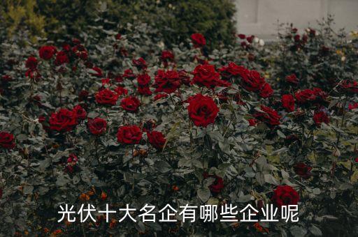 光伏十大名企有哪些企業呢