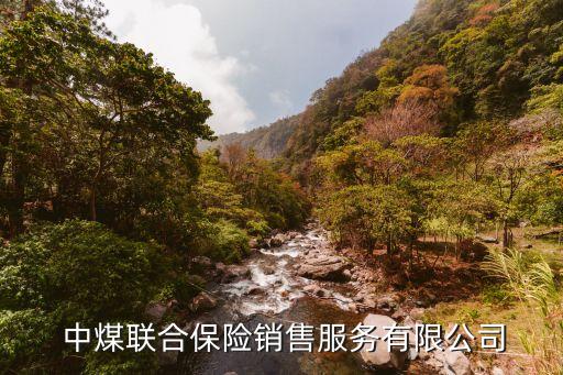 中煤財產保險河北分公司蔡總