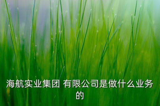 海航實業集團 有限公司是做什么業務的