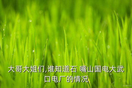 國電石嘴山發電有限公司儀表采購,國能石嘴山第一發電有限公司機組