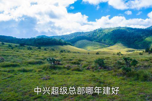 中國的中興企業在巴西什么地方,巴西在中國有什么企業