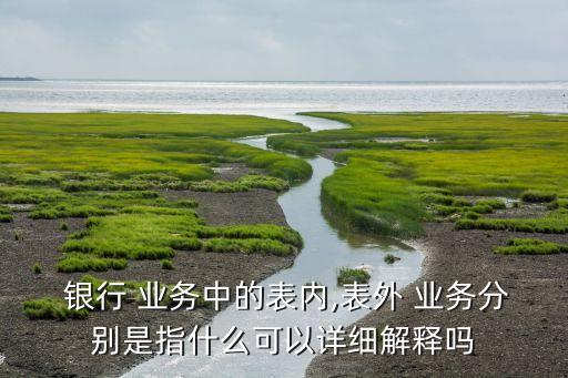  銀行 業務中的表內,表外 業務分別是指什么可以詳細解釋嗎