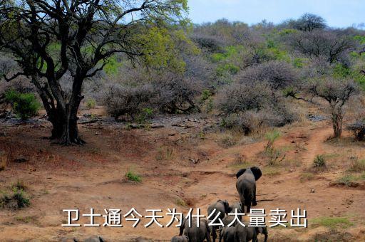 成都衛士通信息產業股份公司