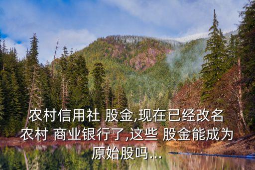  農村信用社 股金,現在已經改名 農村 商業銀行了,這些 股金能成為原始股嗎...