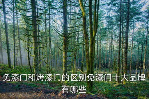 免漆門和烤漆門的區別免漆門十大品牌有哪些