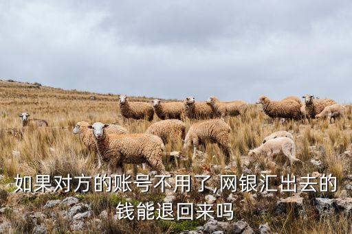如果對方的賬號不用了,網銀匯出去的錢能退回來嗎
