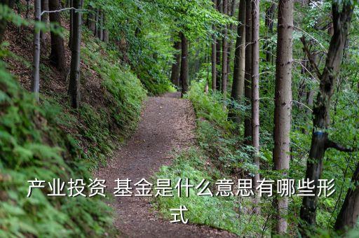 什么是產業基金,什么產業基金最好做論文
