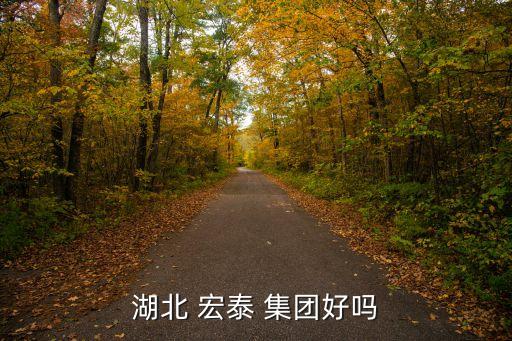 湖北 宏泰 集團好嗎