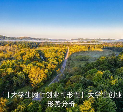 【大學生網上創業可形性】大學生創業形勢分析