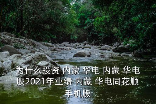內蒙華電定向增發投資價值分析報告