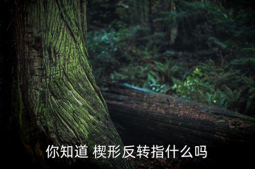 你知道 楔形反轉指什么嗎