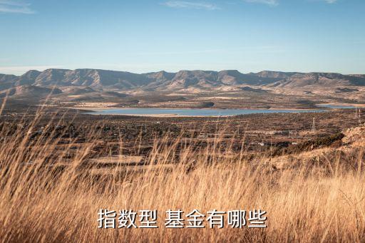指數型 基金有哪些