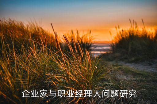  企業家與職業經理人問題研究