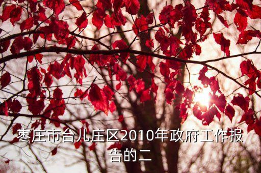 棗莊市臺兒莊區2010年政府工作報告的二
