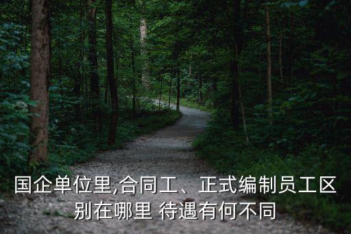 國企單位里,合同工、正式編制員工區別在哪里 待遇有何不同
