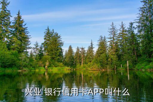  興業 銀行信用卡APP叫什么