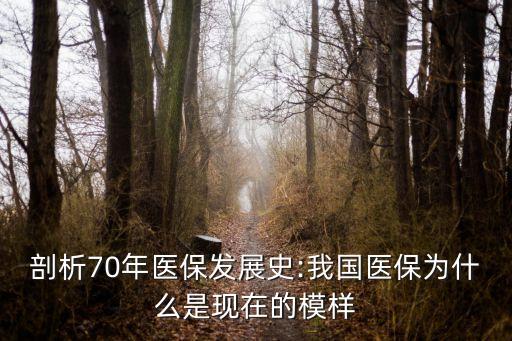 中國醫療保障水平