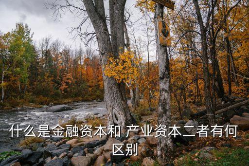 產業資本投資