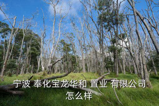 寧波 奉化寶龍華和 置業 有限公司怎么樣
