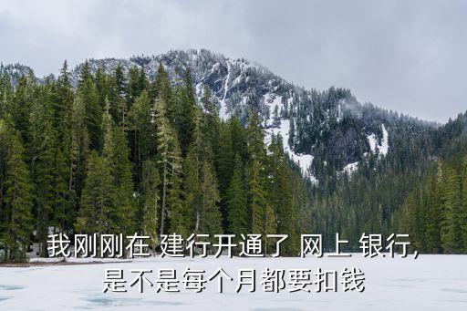 我剛剛在 建行開通了 網上 銀行,是不是每個月都要扣錢