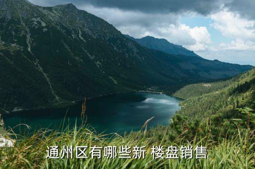 北京東邊新樓盤,北京三環內新樓盤在售