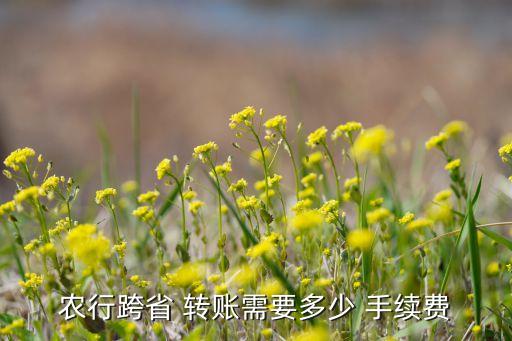 農業銀行柜臺轉賬手續費