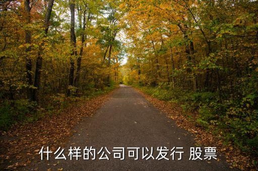 什么樣的公司可以發行 股票