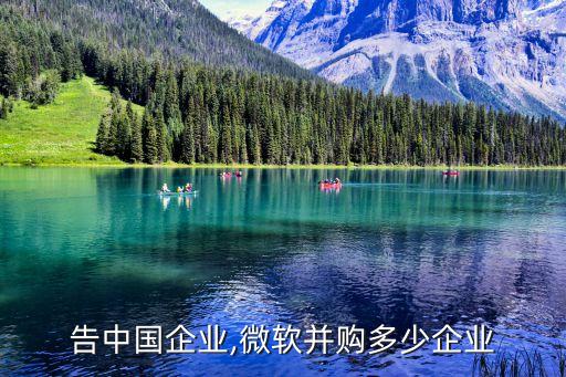 微軟告中國企業,微軟并購多少企業