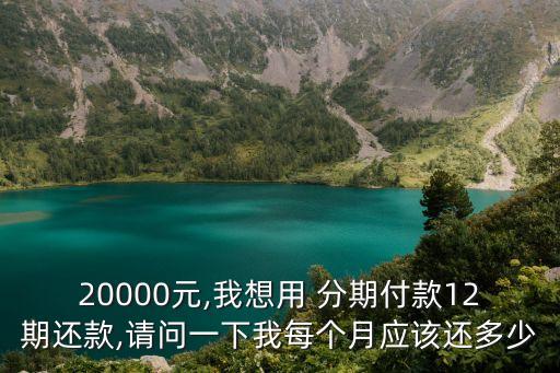 20000元,我想用 分期付款12期還款,請問一下我每個月應(yīng)該還多少