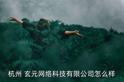 杭州 玄元網絡科技有限公司怎么樣
