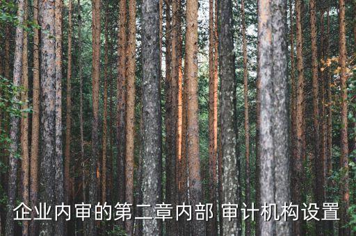 企業內審的第二章內部 審計機構設置