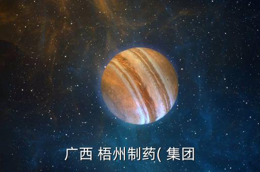 梧州中恒集團招聘,梧州產業投資集團招聘