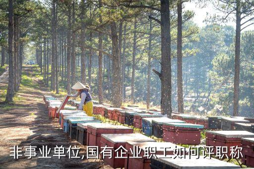 廣州白云公司張新華,白云農工商張新華有沒執行