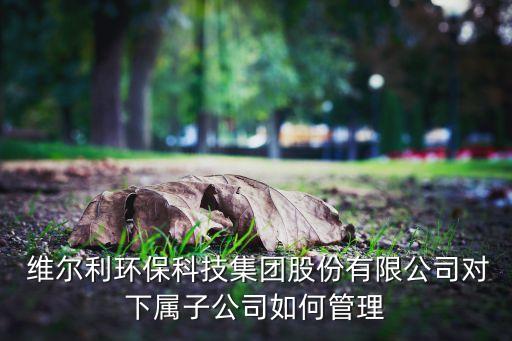  維爾利環保科技集團股份有限公司對下屬子公司如何管理
