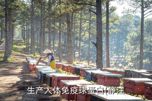 生產人體免疫球蛋白(靜注