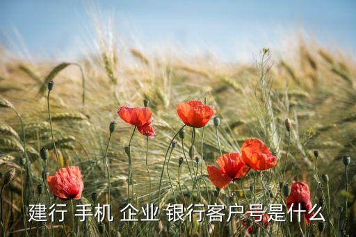 建設銀行企業手機銀行,中國建設銀行企業手機銀行