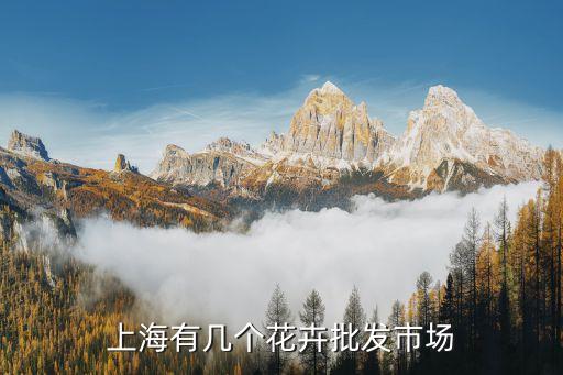 上海有幾個花卉批發市場