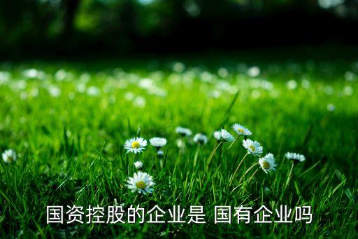 國資控股的企業是 國有企業嗎
