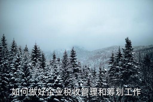 如何做好企業稅收管理和籌劃工作