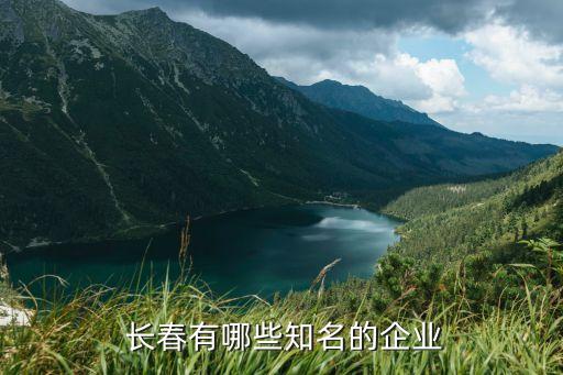  長春有哪些知名的企業