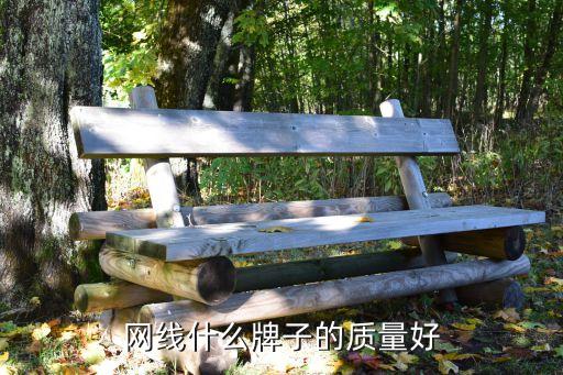 大唐電信科技股份有限公司網站,北京大唐電信科技股份有限公司