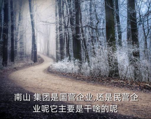  南山 集團是國營企業,還是民營企業呢它主要是干啥的呢