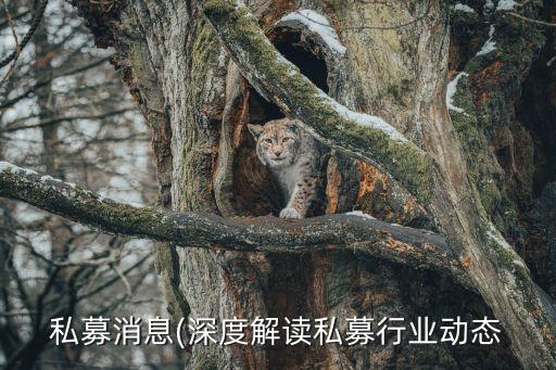 私募消息(深度解讀私募行業動態