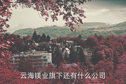 云海鎂業旗下還有什么公司